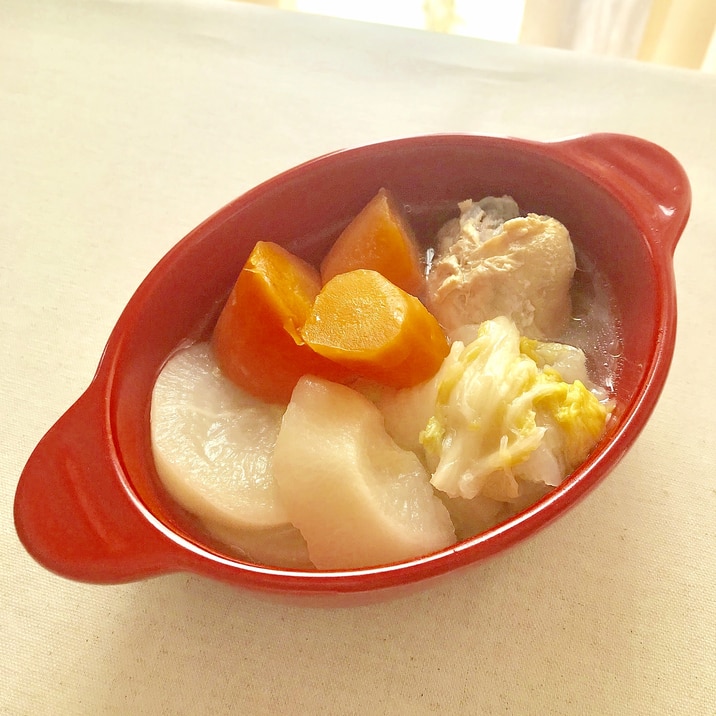 圧力鍋で旨!手羽元と野菜のポトフ【低フォドマップ】